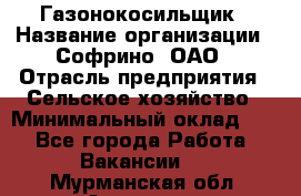 Газонокосильщик › Название организации ­ Софрино, ОАО › Отрасль предприятия ­ Сельское хозяйство › Минимальный оклад ­ 1 - Все города Работа » Вакансии   . Мурманская обл.,Апатиты г.